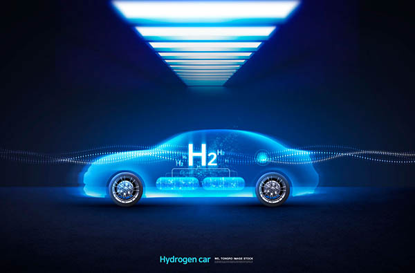 fuel cell